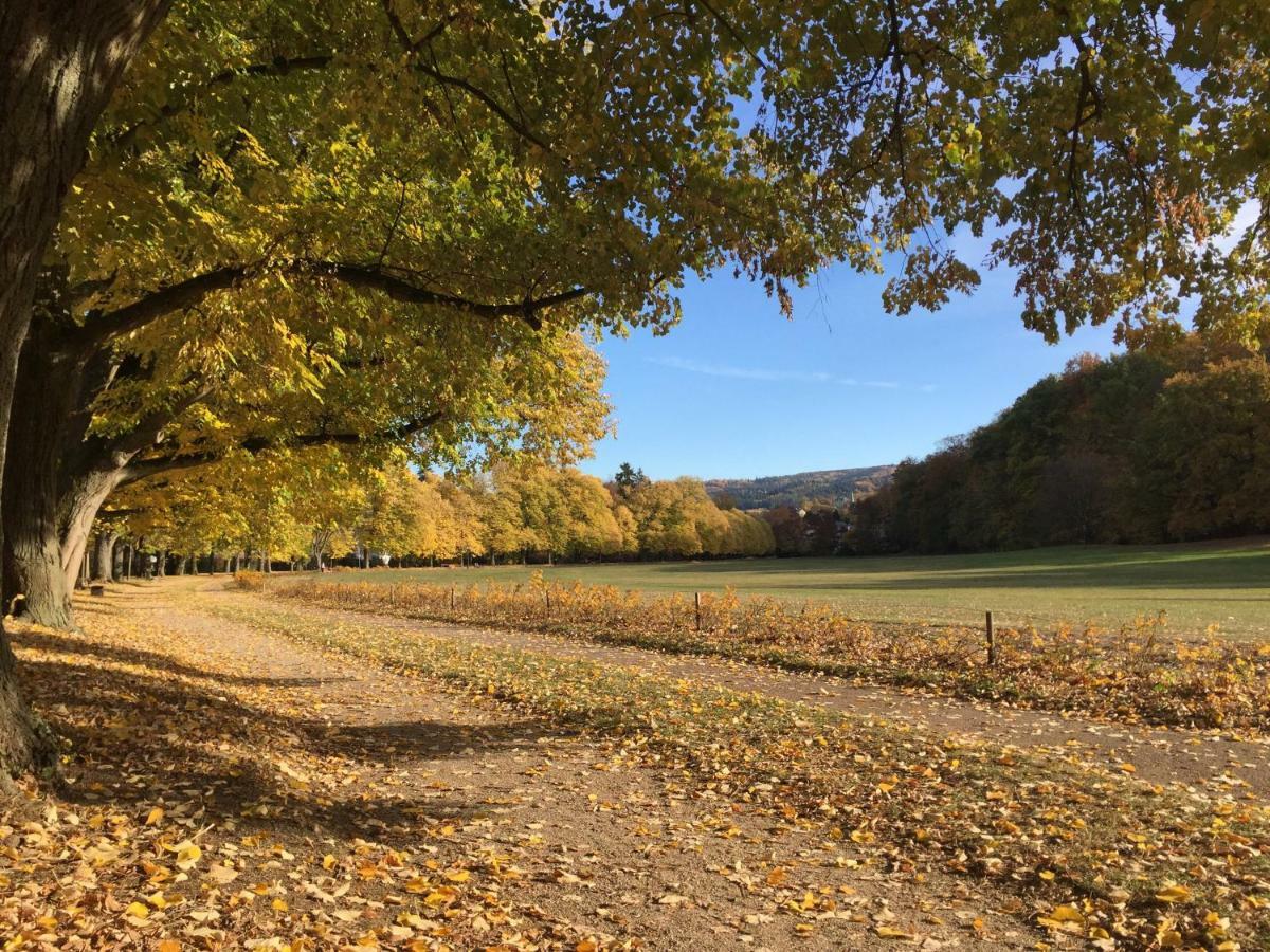 Suite Mit Blick Auf Die Lichtentaler Allee Baden-Baden Bagian luar foto